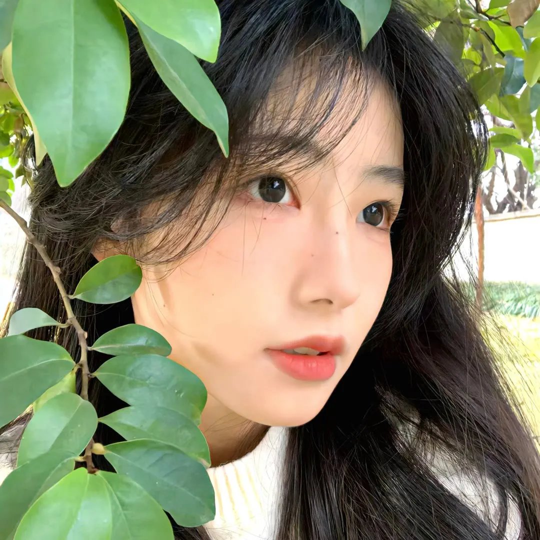 阳炎